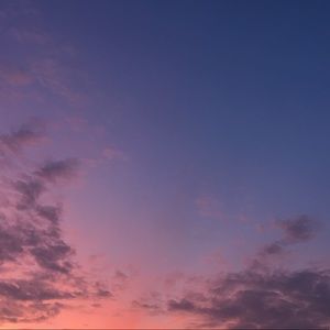 Meet your Posher, Lulu